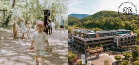 Gartenhotel MOSER